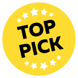 Our Top Picks for Things to Do